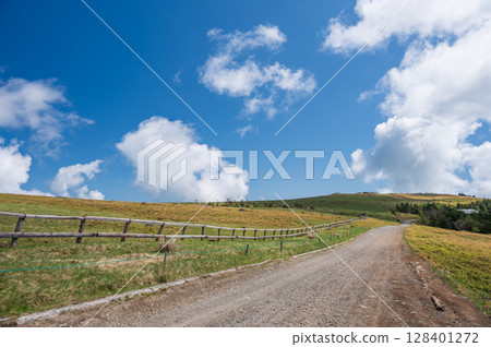 The refreshing scenery of Utsukushigahara Plateau 128401272