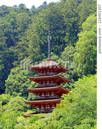 Hasederaji的五層寶塔 Hasederaji的五層寶塔 128401307