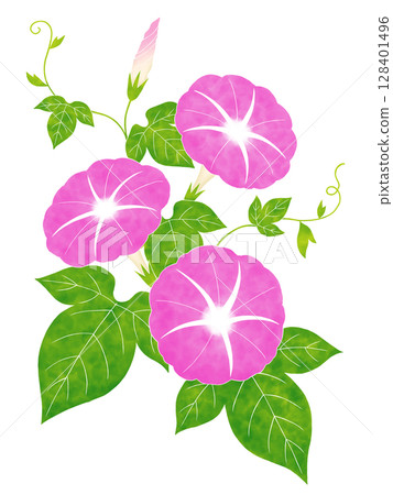 水彩牽牛花 128401496