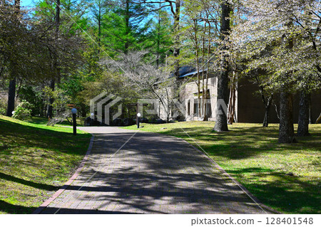 Scenery of Lake Yamanaka Literature Forest Park 128401548