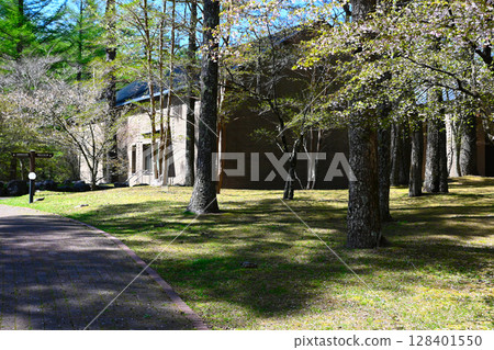 山中湖文學森林公園的風景 128401550