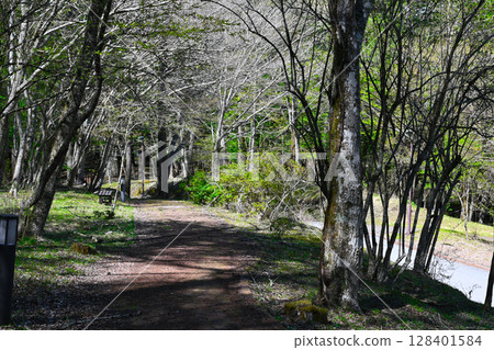 山中湖、文學之森公園景色 山中湖、文學之森公園景色 128401584