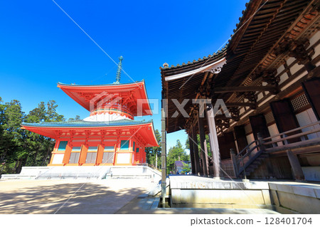 [和歌山縣]晴天時高野山壇上伽藍的主塔 128401704