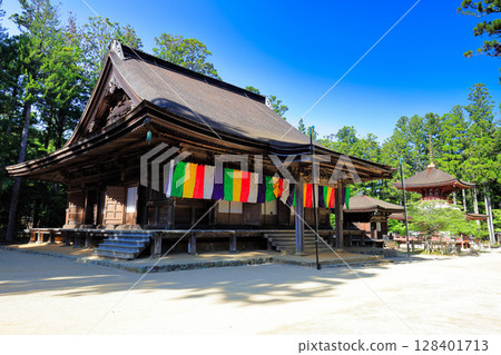 [Wakayama Prefecture] The main hall and eastern tower of the Danjo Garan at Mt. Koya on a clear day 128401713