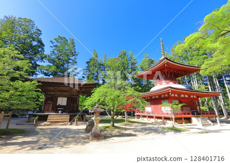 [和歌山縣]晴天時高野山的三道和團上伽藍東塔 128401716