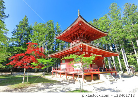 [Wakayama Prefecture] The eastern tower of Danjogaran at Mt. Koya on a clear day 128401718