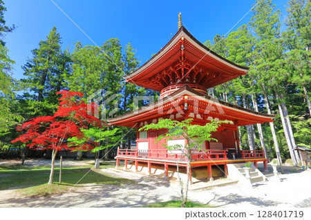 [Wakayama Prefecture] Shami-do and the East Pagoda of the Danjo Garan at Mt. Koya on a clear day 128401719