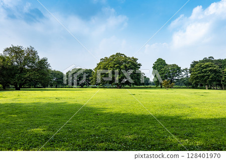 神奈川縣座間市芹澤公園的草地, 神奈川縣座間市芹澤公園的草地, 128401970