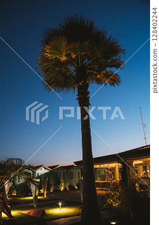 Evening View of Palm Tree Against Twilight Sky 128402244