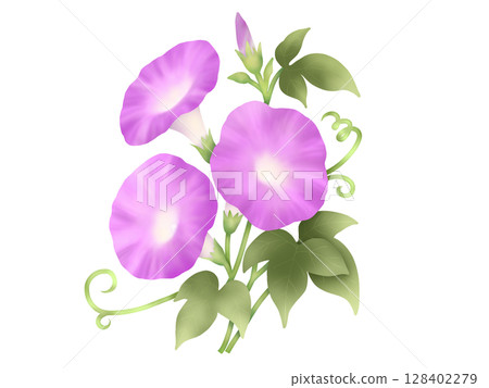 牽牛花③ 牽牛花③ 128402279