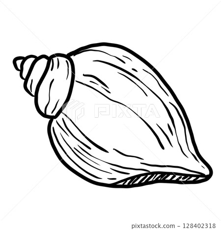 Sea Shells Hand drawn line art sketch doodle fisherman aesthetic coastal nautical illustration  128402318