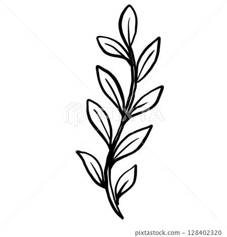 Seaweed Hand drawn line art sketch doodle fisherman aesthetic coastal nautical illustration  128402320