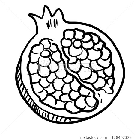 Pomegranate  Hand drawn line art sketch doodle fisherman aesthetic coastal nautical illustration  128402322