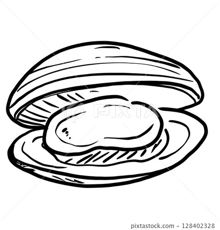 Clam opening shell Hand drawn line art sketch doodle fisherman aesthetic coastal nautical illustration  128402328