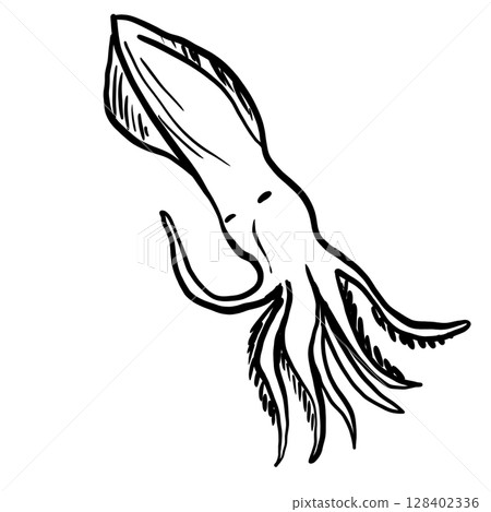 Squid Hand drawn line art sketch doodle fisherman aesthetic coastal nautical illustration  128402336