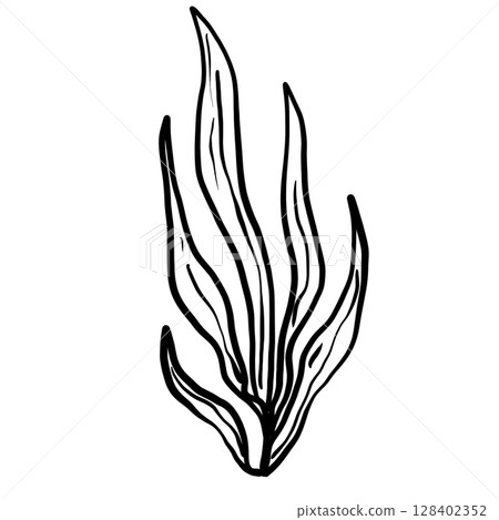 Sea plant Hand drawn line art sketch doodle fisherman aesthetic coastal nautical illustration  128402352