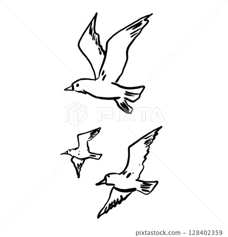 Seagulls flying Hand drawn line art sketch doodle fisherman aesthetic coastal nautical illustration  128402359