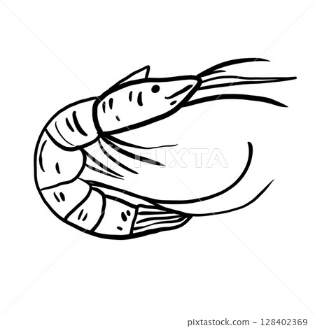 Shrimp Hand drawn line art sketch doodle fisherman aesthetic coastal nautical illustration  128402369