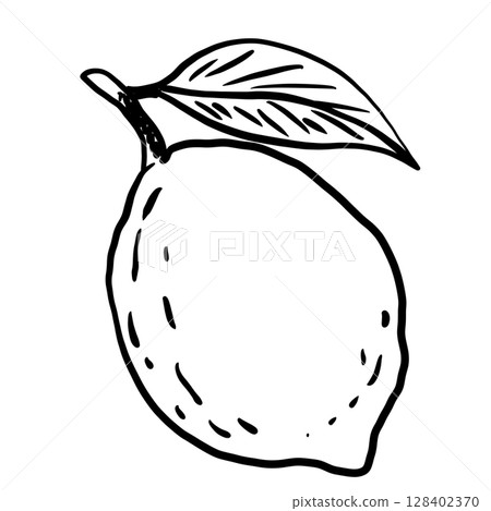Lemon Hand drawn line art sketch doodle fisherman aesthetic coastal nautical illustration  128402370