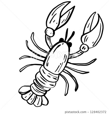 Lobster Hand drawn line art sketch doodle fisherman aesthetic coastal nautical illustration  128402372