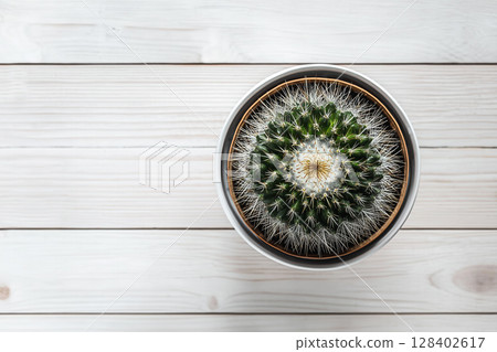 Aesthetic Cactus on White Wooden Desk with Soft Natural Background and Vibrant Green Blooming Plant 128402617