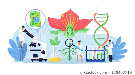 Biology, botany subject. Biologist exploring nature. Scientist make laboratory analysis of life system of plants. Molecular engineering, microbiology. Chemical researchers working with lab equipment 128402719