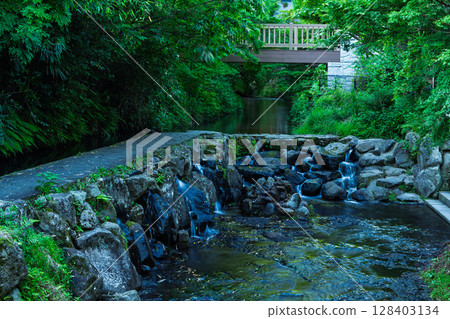 Shirakawa Springs, one of Japan's top 100 water sources, tourist spot, view of the temple grounds (Minamiaso Village, Aso) 128403134