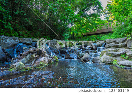 Shirakawa Springs, one of Japan's top 100 water sources, tourist spot, view of the temple grounds (Minamiaso Village, Aso) Shirakawa Springs, one of Japan's top 100 water sources, tourist spot, view of the temple grounds (Minamiaso Village, Aso) 128403149