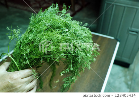 Fresh Dill Leaves (Suva Bhaji) on the wooden table Fresh Dill Leaves (Suva Bhaji) on the wooden table 128403434