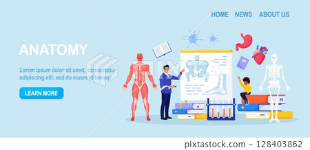 Anatomy school subject. Pupil studying human skeleton. Teacher pointing at chalkboard, teaching kids. Girl learn male muscular system, nervous, bone, organs, blood systems. Biology classes, medicine Anatomy school subject. Pupil studying human skeleton. Teacher pointing at chalkboard, teaching kids. Girl learn male muscular system, nervous, bone, organs, blood systems. Biology classes, medicine 128403862