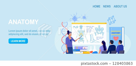 Anatomy school subject. Students studying internal human organ. Teacher pointing at chalkboard, teaching kids. People at desks learn human body nervous, bone, muscle, blood systems. Biology classes Anatomy school subject. Students studying internal human organ. Teacher pointing at chalkboard, teaching kids. People at desks learn human body nervous, bone, muscle, blood systems. Biology classes 128403863