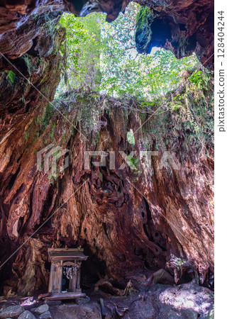 Wilson Stump Yakushima Yakusugi Cedar Stump Shrine and Heart (February) Wilson Stump Yakushima Yakusugi Cedar Stump Shrine and Heart (February) 128404244