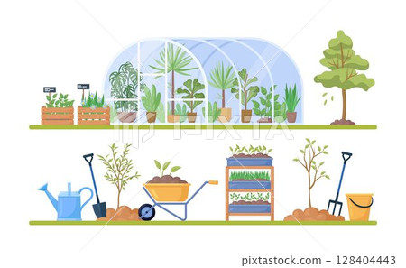 Glass green house with garden equipment or plants collection, wooden boxes with herbs, wheelbarrow, watering pot, shovel. Plants growing in pots inside glass greenhouse. Hothouse eco farm agriculture 128404443