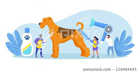 People caring of domestic animals or pets, blow drying, cutting fur, washing. Pet haircut, grooming. Cute dog at groomer salon 128404445
