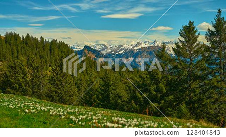 Breathtaking view of alpine mountains surrounded by lush greenery and wildflowers during a sunny day Breathtaking view of alpine mountains surrounded by lush greenery and wildflowers during a sunny day 128404843