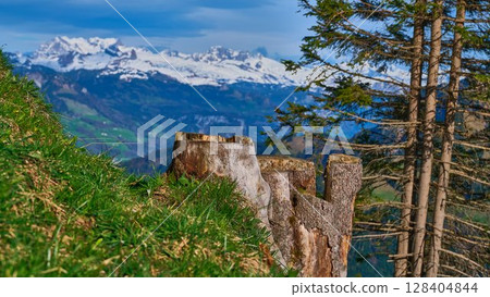 Scenic view of snow-capped mountains and tree stumps in a lush alpine landscape during a sunny day Scenic view of snow-capped mountains and tree stumps in a lush alpine landscape during a sunny day 128404844