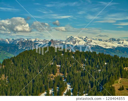 Majestic snow-capped mountains and lush green forests in the Swiss Alps during a sunny afternoon 128404855