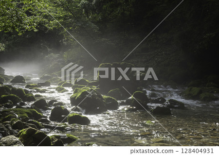 A fantastical view of the moss-covered Maruhara River mountain stream bathed in morning light (Gifu Prefecture) A fantastical view of the moss-covered Maruhara River mountain stream bathed in morning light (Gifu Prefecture) 128404931