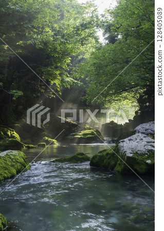 A fantastic mountain stream landscape of the Maruhara River, covered in fresh greenery and moss as the morning sun shines through 128405089