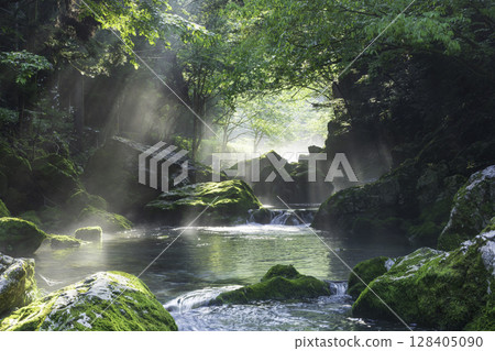 A fantastic mountain stream landscape of the Maruhara River, covered in fresh greenery and moss as the morning sun shines through A fantastic mountain stream landscape of the Maruhara River, covered in fresh greenery and moss as the morning sun shines through 128405090