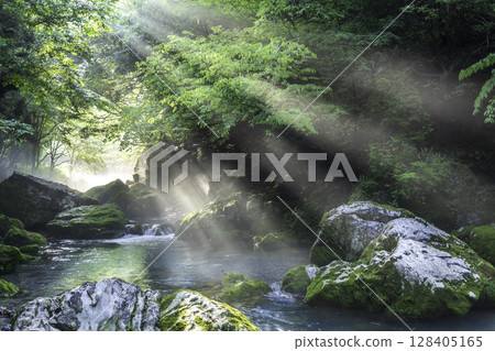 清晨的陽光照射在丸原川上，映襯著日本最大的地下水源，溪流上覆蓋著新鮮的綠葉和苔蘚，呈現出一幅夢幻般的景象 128405165