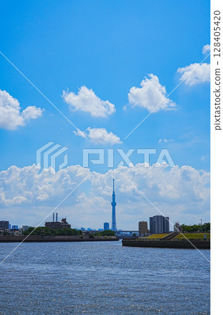 Skytree, Harp Bridge and summer sky as seen from Okutonakagawa 128405420