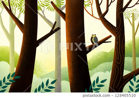 Owl perched on a tree branch in the forest 128405510