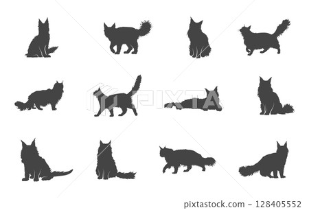 Maine coon cat svg, Maine coon cat silhouette, Maine coon cat clipart, Maine coon cat vector. 128405552