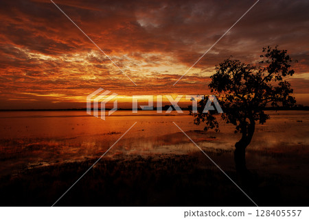 Tropical amazing dramatic golden sky on sunset over scenic river lake seascape ocean. Silhouette tranquil season wilderness serene landscape. Tranquil lake countryside sunrise seaside reflection 128405557