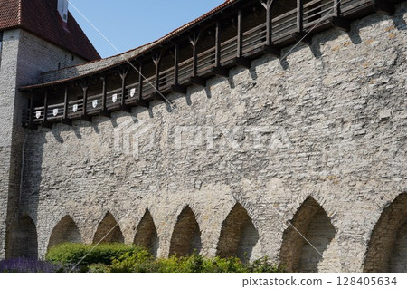 Tallinn, Danish King's Garden 128405634