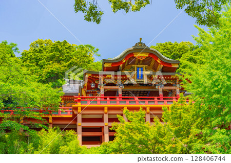 (Saga Prefecture) Yutoku Inari Shrine - The main hall seen from the garden with fresh greenery 128406744
