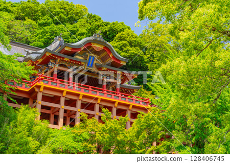 (Saga Prefecture) Yutoku Inari Shrine - The main hall seen from the garden with fresh greenery 128406745