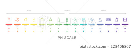 PH Scale. Acid and alkaline solution infographic. Chemical analysis or test. Vector illustration in flat style 128406807