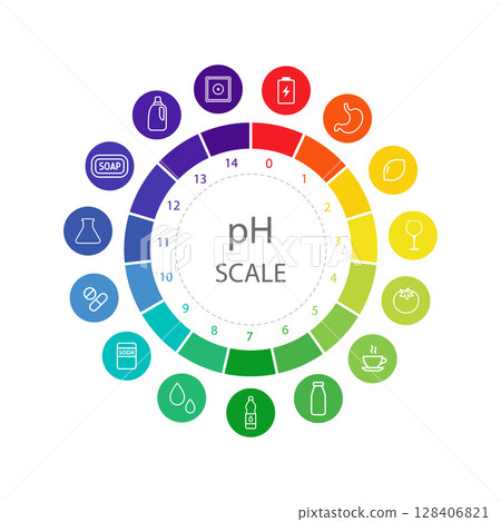 PH value Scale. Color chart with pH food level. Scale indicator for litmus paper test. Vector illustration isolated on white background 128406821